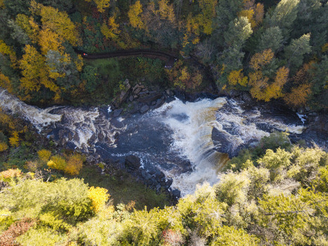 Aerial view of Blackwater Falls in Blackwater Falls State Park surrounded by vibrant autumn foliage and dense forest in Davis West Virginia United States.