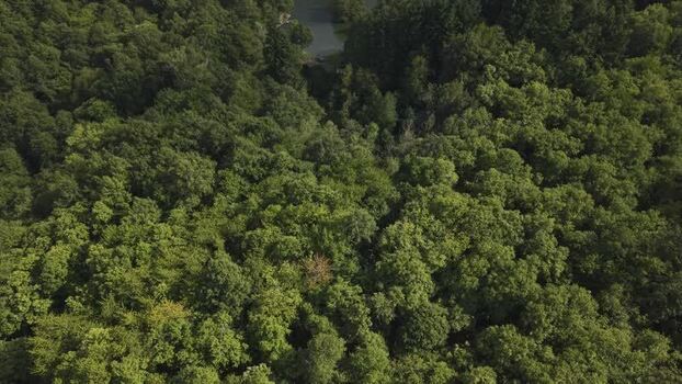 Aerial view of Lago Pontini in Bagno di Romagna Italy.
