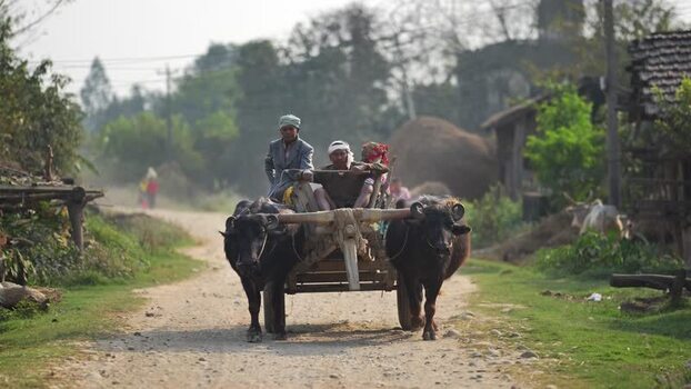 View of a traditional bullock cart on a rural road Nepal.