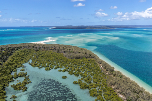 Aerial view of Moreton Island featuring lush mangrove forests turquoise shallow waters and sandbars along the coastline Kooringal Queensland Australia. Aerial view of Moreton Island featuring lush mangrove forests turquoise shallow waters and sandbars along the coastline Kooringal Queensland Australia.