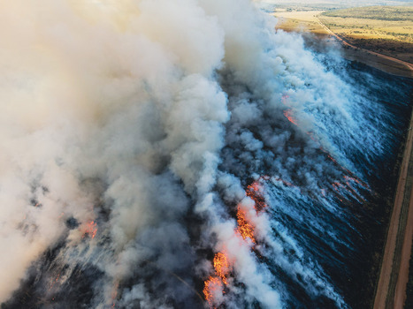 Aerial view of a large wildfire with thick smoke and orange flames spreading across the dry landscape near a dirt road in Waterberg District Municipality Limpopo South Africa.
