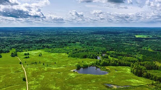Aerial view of green meadows and a small pond in Latvia. Aerial view of green meadows and a small pond in Latvia.