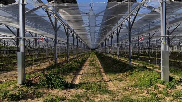 Aerial view of greenhouse in Faenza Italy.