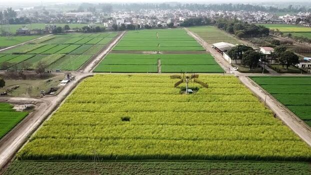 Aerial view of lush green and yellow agricultural fields India. Aerial view of lush green and yellow agricultural fields India.