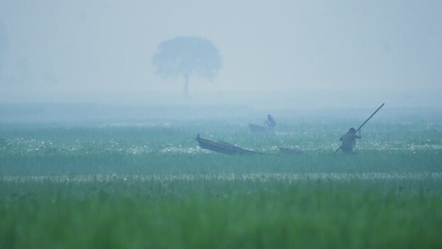 View of fishermen in wooden boats on a misty river Bangladesh.