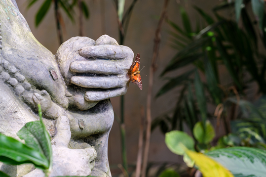 Vienna Austria 29 April 2026 View of an orange butterfly resting on the stone hand of a statue inside the Schmetterlinghaus surrounded by tropical greenery. Vienna Austria 29 April 2026 View of an orange butterfly resting on the stone hand of a statue inside the Schmetterlinghaus surrounded by tropical greenery.
