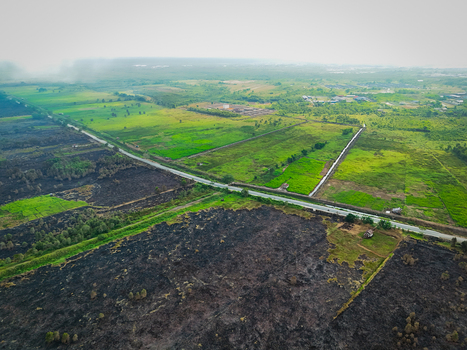 Aerial view of a landscape showing a contrast between vibrant green agricultural fields and areas of charred burnt land separated by a road in Banjarbaru South Kalimantan Indonesia.