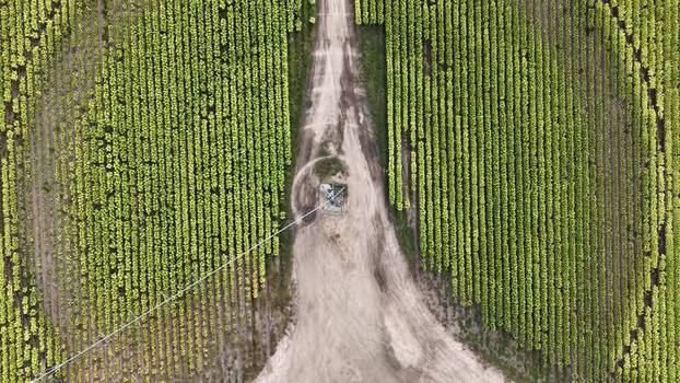 Aerial view of circular agricultural field in Spain. Aerial view of circular agricultural field in Spain.