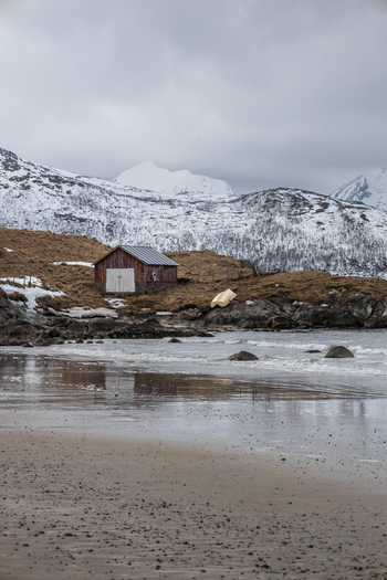 View of a red wooden cabin on a rocky shore with snow capped mountains under a cloudy sky in Kvaloya Troms Norway. View of a red wooden cabin on a rocky shore with snow capped mountains under a cloudy sky in Kvaloya Troms Norway.