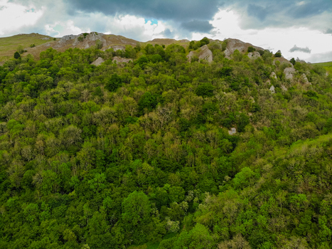 Aerial view of the lush green hills and dense forest landscape near Wetton England United Kingdom. Aerial view of the lush green hills and dense forest landscape near Wetton England United Kingdom.