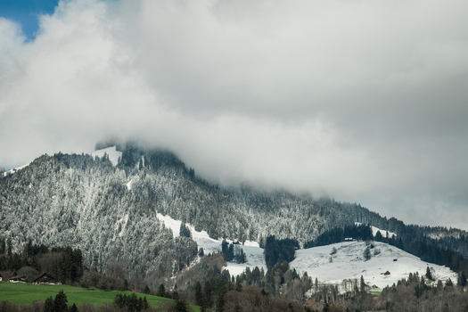 View of snow dusted evergreens clinging to the slopes of a majestic mountain shrouded in ethereal clouds as seen from a train Train from Lucerne to Interlaken Switzerland. View of snow dusted evergreens clinging to the slopes of a majestic mountain shrouded in ethereal clouds as seen from a train Train from Lucerne to Interlaken Switzerland.