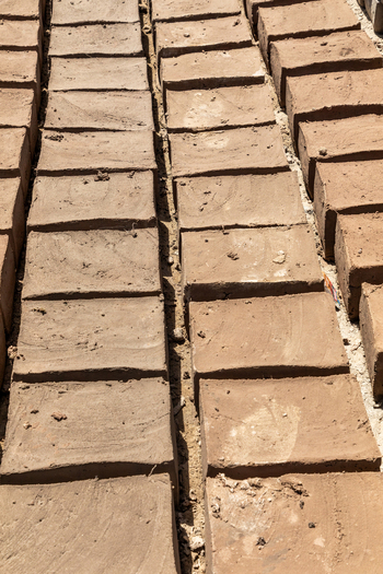 View of mud bricks drying in the sun arranged in neat rows on the ground in Charasa Ladakh India.