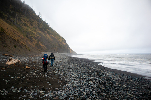 View of two hikers with backpacks walking along the pebbly shore of the Lost Coast beneath steep cliffs in Humboldt County California United States.
