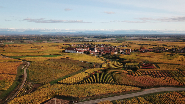 Aerial view of Alsace vineyards surrounding the village of Orschwiller with colorful autumn foliage rolling hills and clear sky. Orschwiller Grand Est France.