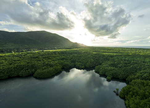 Aerial view of lush mangrove forest meeting the tranquil waters under a bright sky near a mountain Karimunjawa Central Java Indonesia.