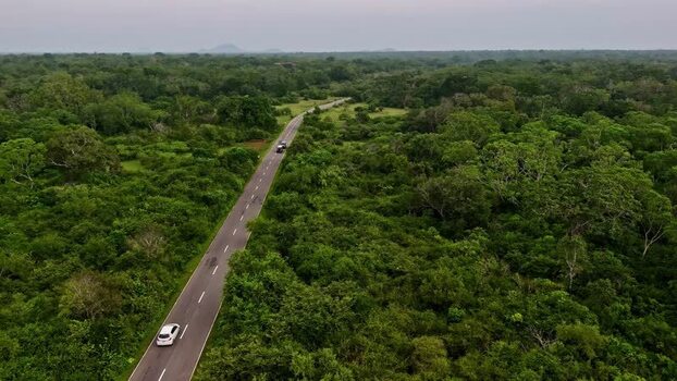 Aerial view of road through tropical forest in Sri Lanka.