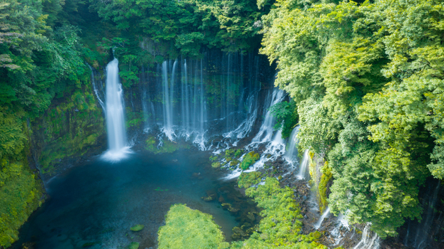 Aerial view of Shiraito Falls surrounded by lush green forest and cascading water in Japan. Aerial view of Shiraito Falls surrounded by lush green forest and cascading water in Japan.