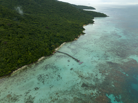 Aerial view of the lush green coastline meets the turquoise sea revealing a wooden pier stretching out into the water at Turtle Conservation Karimunjawa Central Java Indonesia.