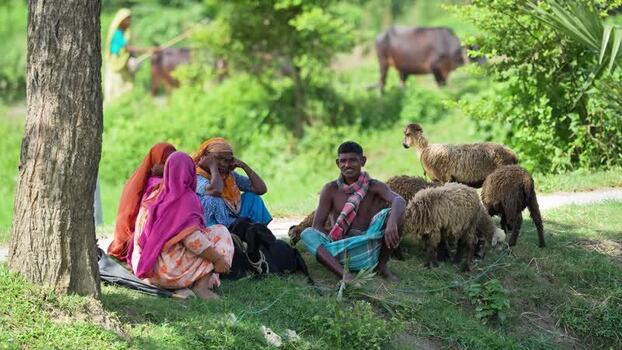View of local people resting with their livestock Bangladesh. View of local people resting with their livestock Bangladesh.