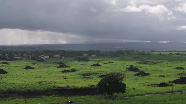Aerial view of green sugar cane fields in Quatre Cocos Mauritius.