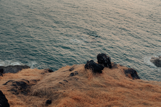 View of golden grasses meet the turquoise sea waves gently crashing against rugged rocks in Chiplun Maharashtra India. View of golden grasses meet the turquoise sea waves gently crashing against rugged rocks in Chiplun Maharashtra India.