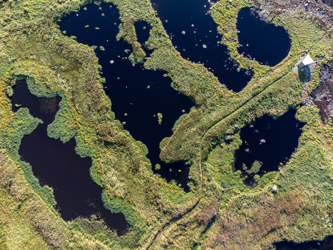 Aerial view of dark still ponds surrounded by verdant grass and a small building reflecting the sky above Marmelkroken bird spotting Nordland Norway.
