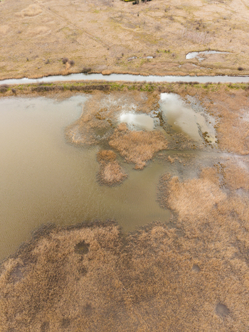 Aerial view of Lake Atanasovsko featuring dense reeds and dry marshland vegetation along a narrow water channel in Burgas Burgas Bulgaria. Aerial view of Lake Atanasovsko featuring dense reeds and dry marshland vegetation along a narrow water channel in Burgas Burgas Bulgaria.