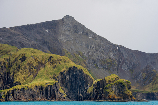 View of a rugged mountain peak with green grassy slopes and dark rocky cliffs rising above the turquoise sea in Grytviken South Georgia and the South Sandwich Islands.
