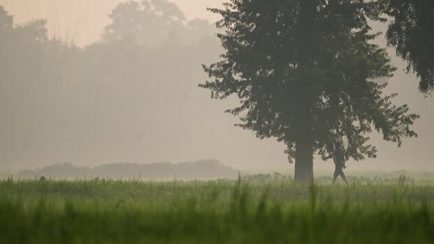 View of a person walking in a misty field near Bogura Bangladesh.