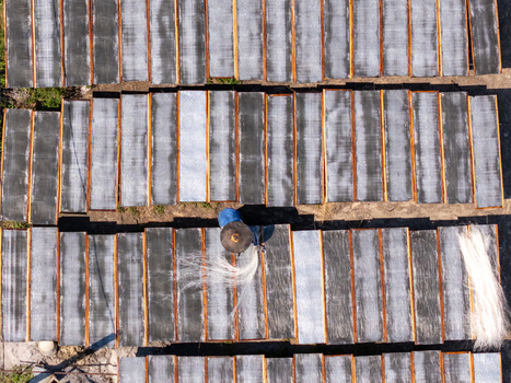 Aerial view of a worker wearing a conical hat spreading glass noodles on wooden drying racks at UKM Sohun in Kecamatan Tulung Jawa Tengah Indonesia.