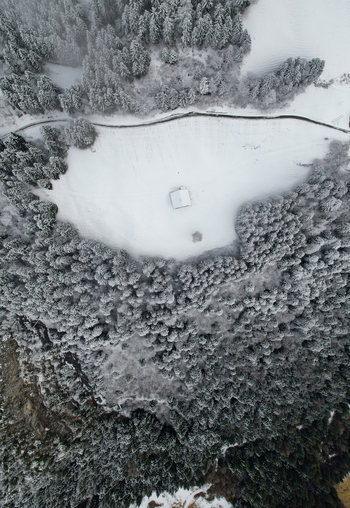 Aerial view of Les Rives featuring an isolated wooden hut in a snow covered field surrounded by dense pine forest in Champery Valais Switzerland.