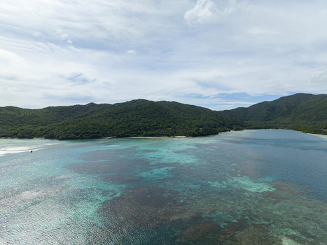 Aerial view of turquoise waters meet verdant hills under a vast sky creating a tranquil coastal panorama Karimunjawa Central Java Indonesia.