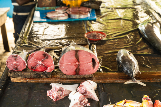 View of fresh tuna steaks and whole fish displayed on a table at a local outdoor fish market in Galle Southern Province Sri Lanka. View of fresh tuna steaks and whole fish displayed on a table at a local outdoor fish market in Galle Southern Province Sri Lanka.