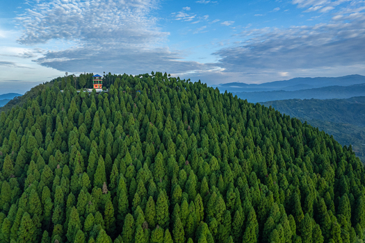 Aerial view of a dense evergreen forest covering a hill with a small observation tower on the summit under a blue sky in Nepal.