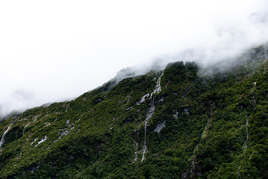 View of cascading waterfalls streak down the lush verdant slopes where mist clings to the peaks enveloping the heights in an ethereal embrace Milford Sound Southland Region New Zealand.