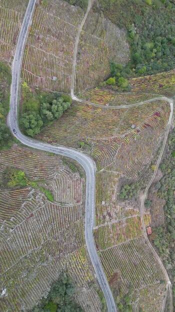 Aerial view of winding road through vineyards Spain. Aerial view of winding road through vineyards Spain.
