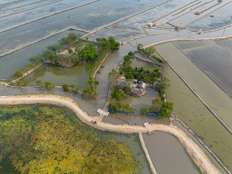 Aerial view of small islands with houses and lush green trees surrounded by flooded fields and dirt embankments in Gabura Union Khulna Division Bangladesh. Aerial view of small islands with houses and lush green trees surrounded by flooded fields and dirt embankments in Gabura Union Khulna Division Bangladesh.
