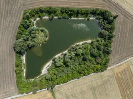 Aerial view of a small pond surrounded by dense green trees and lush vegetation nestled within agricultural fields in Aschheim Bavaria Germany.