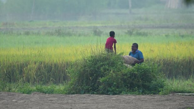 View of a man and child in a rural field in Bogura Bangladesh.