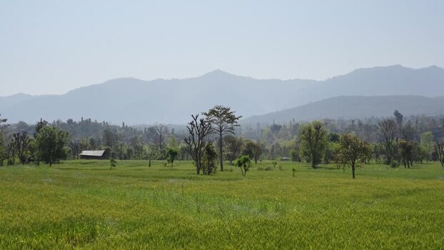 View of lush green fields and hazy mountains Nepal.