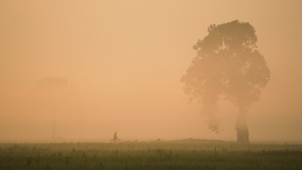 View of a cyclist riding through a misty field at dawn Bangladesh.