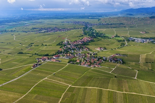 Aerial view of the historic town of Ribeauville nestled among vast green vineyards and rolling hills under a cloudy sky Ribeauville Grand Est France. Aerial view of the historic town of Ribeauville nestled among vast green vineyards and rolling hills under a cloudy sky Ribeauville Grand Est France.