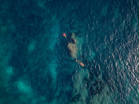 Aerial view of a snorkeler swimming in the clear turquoise waters of Cala Llebeig with a bright orange buoy El Poble Nou de Benitatxell Valencian Community Spain.