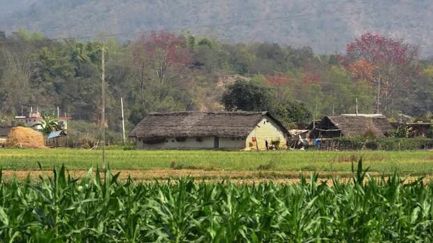 View of traditional houses and green fields in Dang Nepal.