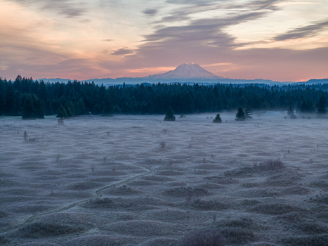 Aerial view of Mima Mounds Natural Area Preserve with unique earth mounds and a winding path under a sunrise sky with Mount Rainier in the distance Olympia Washington United States.