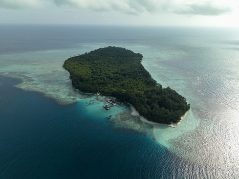 Aerial view of a lush green island surrounded by turquoise and deep blue waters Menjangan Kecil Island Karimunjawa Central Java Indonesia.
