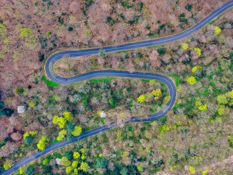 Aerial view of a winding road snakes through the lush verdant forest a ribbon of asphalt cutting through nature s canvas Kintzheim Grand Est France.