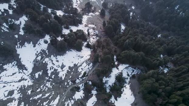 Aerial view of Chopta Tungnath and snowy forest India.