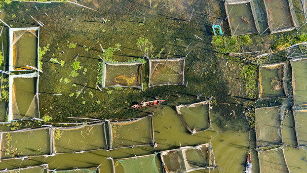 Aerial view of Lake Rawa Pening featuring numerous fish farming nets and a small boat navigating the water in Waduk Rawapening Central Java Indonesia. Aerial view of Lake Rawa Pening featuring numerous fish farming nets and a small boat navigating the water in Waduk Rawapening Central Java Indonesia.