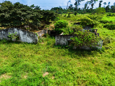 Aerial view of abandoned concrete structures overgrown with trees and lush vegetation in a rural clearing Ahoada I Rivers Nigeria. Aerial view of abandoned concrete structures overgrown with trees and lush vegetation in a rural clearing Ahoada I Rivers Nigeria.